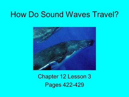 How Do Sound Waves Travel?