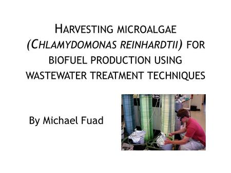 Harvesting microalgae (Chlamydomonas reinhardtii) for biofuel production using wastewater treatment techniques By Michael Fuad Need a goals section to.