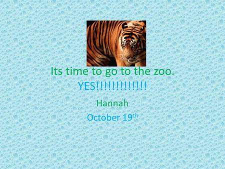 Its time to go to the zoo. YES!!!!!!!!!!!!! Hannah October 19 th.