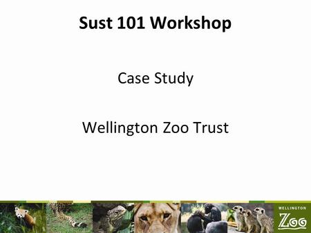 Sust 101 Workshop Case Study Wellington Zoo Trust.