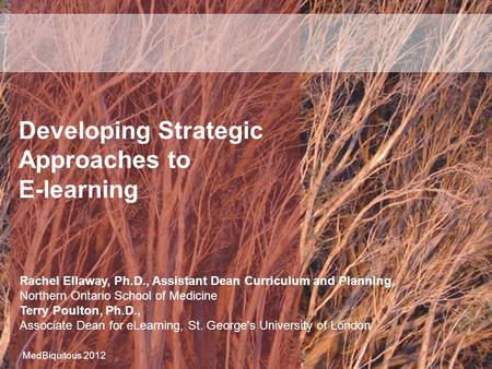 Developing Strategic Approaches to E-learning Rachel Ellaway, Ph.D., Assistant Dean Curriculum and Planning, Northern Ontario School of Medicine Terry.