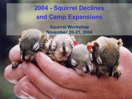 2004 - Squirrel Declines and Camp Expansions Squirrel Workshop November 20-21, 2004.
