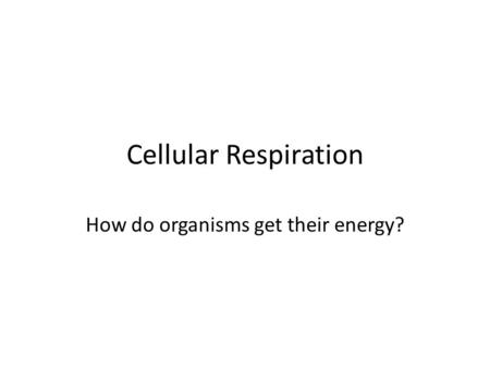 Cellular Respiration How do organisms get their energy?