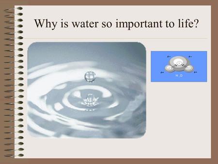 Why is water so important to life?
