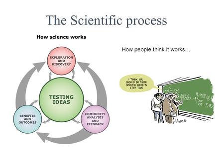 The Scientific process How people think it works….