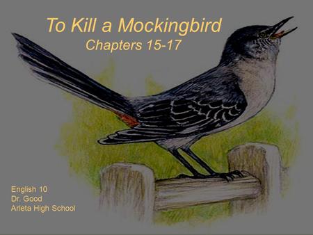 To Kill a Mockingbird Chapters 15-17