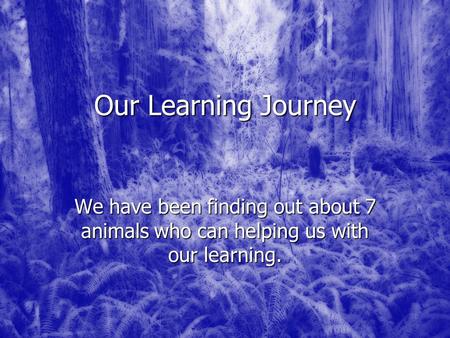 Our Learning Journey We have been finding out about 7 animals who can helping us with our learning.