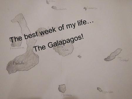 T h e b e s t w e e k o f m y l i f e … The Galapagos!