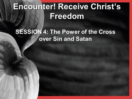 Encounter! Receive Christ’s Freedom SESSION 4: The Power of the Cross over Sin and Satan.