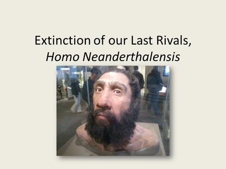 Extinction of our Last Rivals, Homo Neanderthalensis Levi Johnston.