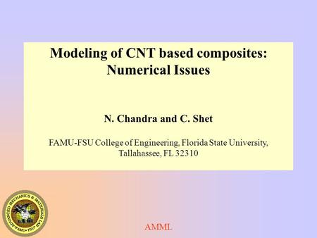 Modeling of CNT based composites: Numerical Issues