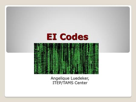 EI Codes Angelique Luedeker, ITEP/TAMS Center. Homework Discussion Does anyone have questions on the TEISS installation?