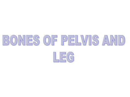Ilium Pubis Ischium The pelvis is made of three bones on each side.