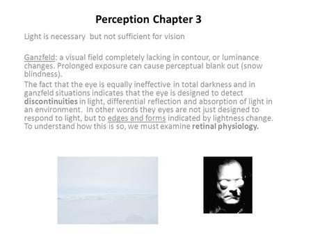 Perception Chapter 3 Light is necessary but not sufficient for vision Ganzfeld: a visual field completely lacking in contour, or luminance changes. Prolonged.