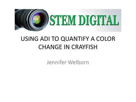 USING ADI TO QUANTIFY A COLOR CHANGE IN CRAYFISH Jennifer Welborn.