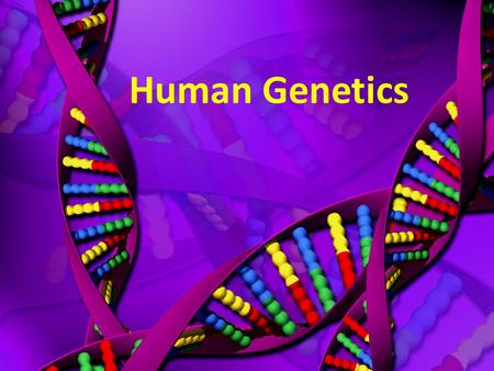 Human Genetics. We are all a combination of genes and traits from our parents.
