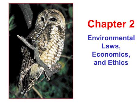 Environmental Laws, Economics, and Ethics