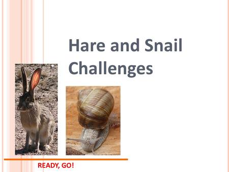 READY, GO! Hare and Snail Challenges. 1. What are some design considerations to make a fast robot? 2. What are some design considerations to make a slow.