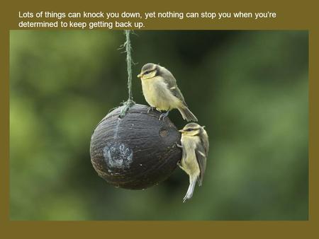 Lots of things can knock you down, yet nothing can stop you when you’re determined to keep getting back up.