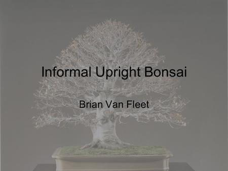 Informal Upright Bonsai Brian Van Fleet. Formal Upright Slant Informal Upright Semi- Cascade Cascade The Basic Bonsai Styles From “Bonsai Techniques II”