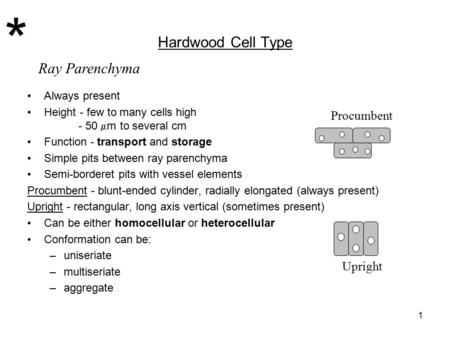 1 Hardwood Cell Type Always present Height - few to many cells high - 50  m to several cm Function - transport and storage Simple pits between ray parenchyma.