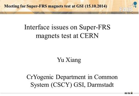 Interface issues on Super-FRS magnets test at CERN CrYogenic Department in Common System (CSCY) GSI, Darmstadt Yu Xiang Meeting for Super-FRS magnets test.