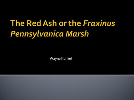 Wayne Kunkel. Red Ash Kingdom of the Red Ash is Plantae The subkingdom is Tracheobionata The super division is Spermatophyta The division is Magnoliophyte.