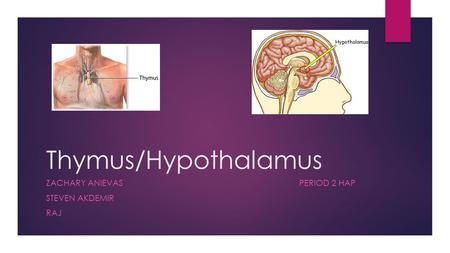 Thymus/Hypothalamus ZACHARY ANIEVAS PERIOD 2 HAP STEVEN AKDEMIR RAJ.