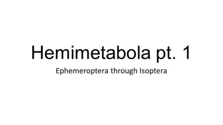 Hemimetabola pt. 1 Ephemeroptera through Isoptera.