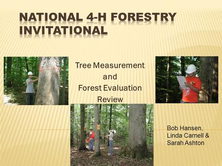 Tree Measurement and Forest Evaluation Review Bob Hansen, Linda Carnell & Sarah Ashton.