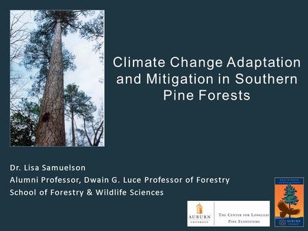 Climate Change Adaptation and Mitigation in Southern Pine Forests Dr. Lisa Samuelson Alumni Professor, Dwain G. Luce Professor of Forestry School of Forestry.