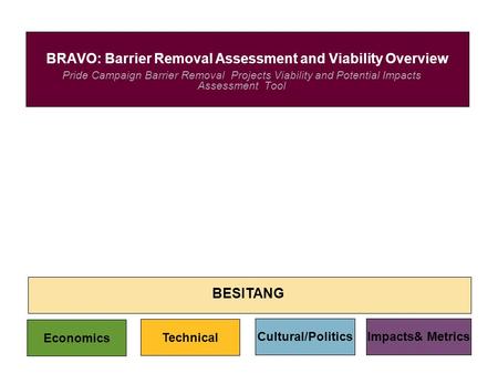 Pride Campaign Barrier Removal Projects Viability and Potential Impacts Assessment Tool BRAVO: Barrier Removal Assessment and Viability Overview BESITANG.