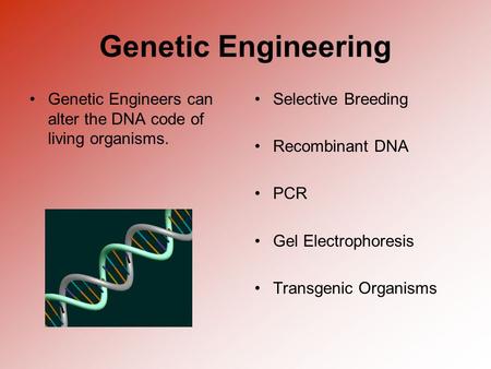 Genetic Engineering Genetic Engineers can alter the DNA code of living organisms. Selective Breeding Recombinant DNA PCR Gel Electrophoresis Transgenic.