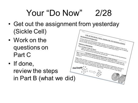 Your “Do Now” 2/28 Get out the assignment from yesterday (Sickle Cell)