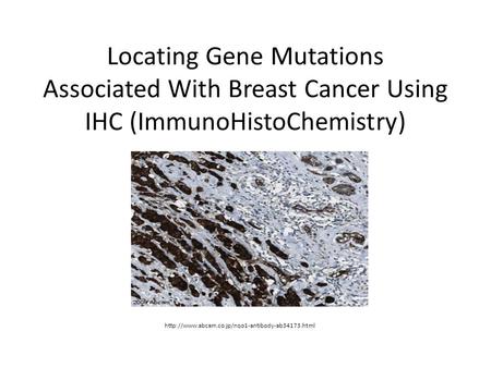 Locating Gene Mutations Associated With Breast Cancer Using IHC (ImmunoHistoChemistry)