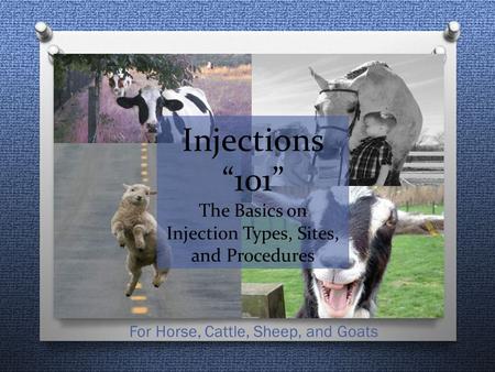 Injections “101” The Basics on Injection Types, Sites, and Procedures