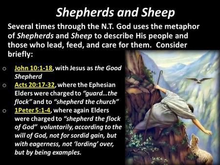 Shepherds and Sheep Several times through the N.T. God uses the metaphor of Shepherds and Sheep to describe His people and those who lead, feed, and care.