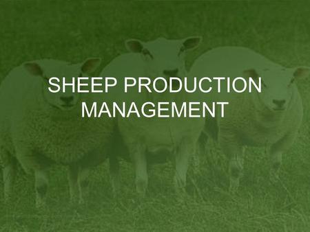 SHEEP PRODUCTION MANAGEMENT. Overview Basic Steps to Lambing Methods Used for Lambing Challenges Associated with Lambing.