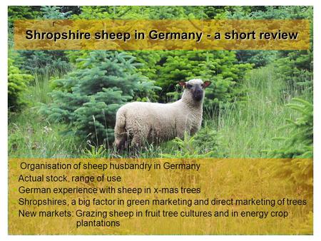 Shropshire sheep in Germany - a short review  Organisation of sheep husbandry in Germany  Actual stock, range of use  German experience with sheep in.