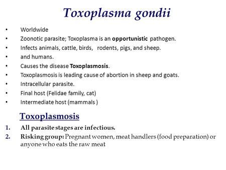Toxoplasma gondii Toxoplasmosis Worldwide