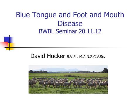 Blue Tongue and Foot and Mouth Disease BWBL Seminar 20.11.12 David Hucker B.V.Sc. M.A.N.Z.C.V.Sc.