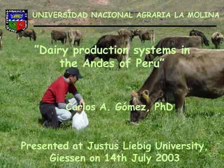 ”Dairy production systems in the Andes of Peru” UNIVERSIDAD NACIONAL AGRARIA LA MOLINA Carlos A. Gómez, PhD Presented at Justus Liebig University, Giessen.
