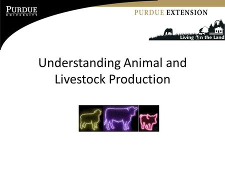 Understanding Animal and Livestock Production. Matching Your Farm with the Animal.
