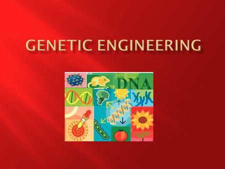 At the end of this lesson you should be able to 1. Define Genetic Engineering 2. Outline the process of genetic engineering involving some or all of the.