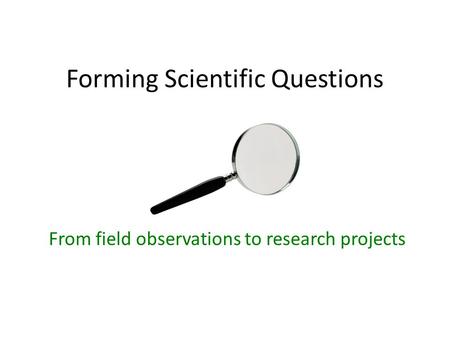 Forming Scientific Questions From field observations to research projects.
