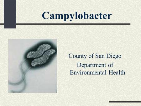 Campylobacter County of San Diego Department of Environmental Health.