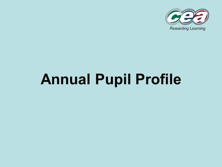 Annual Pupil Profile. 1Nov04Strategic Advisory Group2 The Annual Pupil Profile Highlights continuity of progress and attainment Builds up, over time,