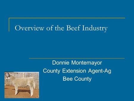 Overview of the Beef Industry Donnie Montemayor County Extension Agent-Ag Bee County.
