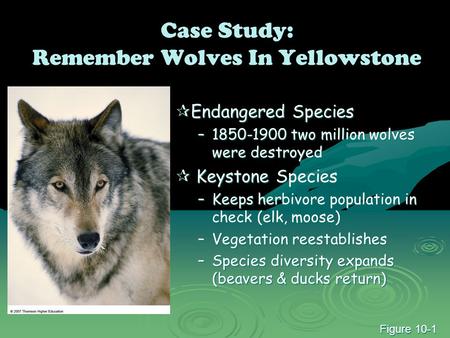 Case Study: Remember Wolves In Yellowstone  Endangered Species –1850-1900 two million wolves were destroyed  Keystone Species –Keeps herbivore population.