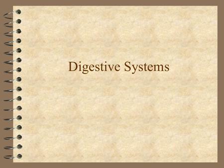 Digestive Systems.
